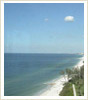 Naples Area Realestate Search