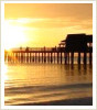 Search all Properties in Naples!